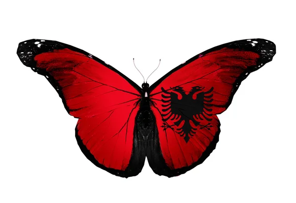 Albânia bandeira borboleta, isolado no fundo branco — Fotografia de Stock