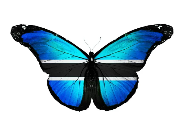 Mariposa de la bandera de Botswana, aislada sobre fondo blanco —  Fotos de Stock