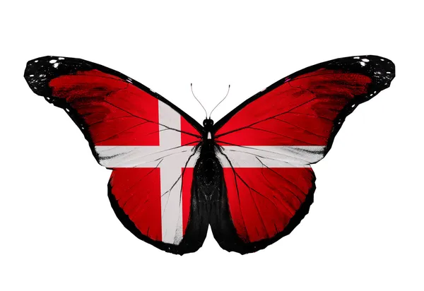 Papillon drapeau du Danemark, isolé sur fond blanc — Photo