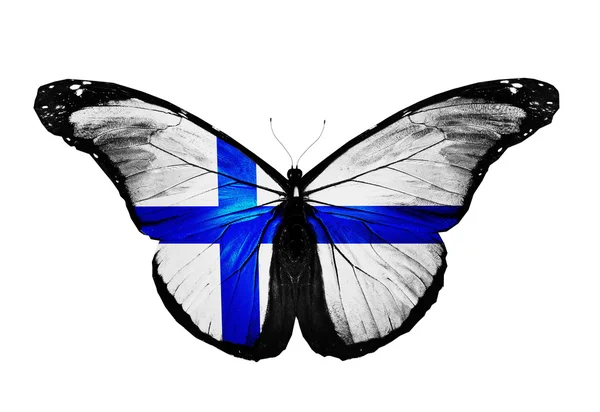 Finland vlag vlinder, geïsoleerd op witte achtergrond — Stockfoto