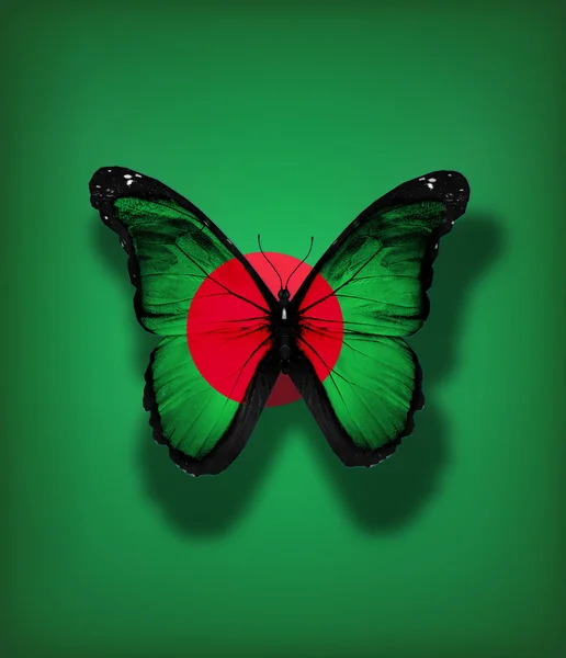 Bangladéš vlajky motýl, izolovaných na pozadí vlajky — Stock fotografie