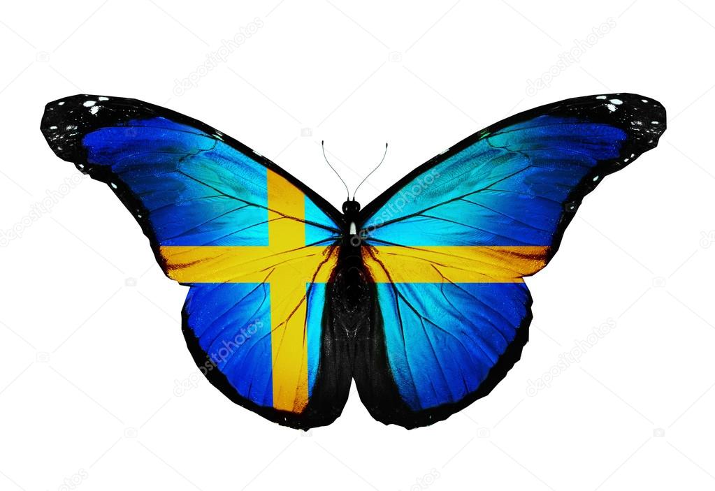 Swedish flag butterfly, isolated on white background