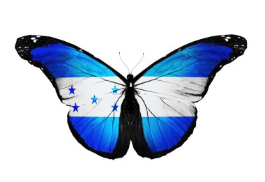 Beyaz arka plan üzerinde izole honduras bayrağı kelebek