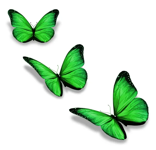 Три зелених метелика, ізольовані на білому — стокове фото