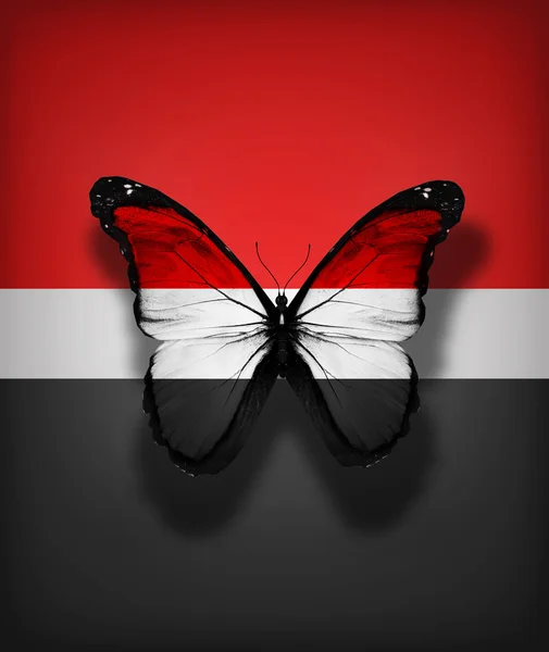 Бабочка с флагом Йемена, изолированная на фоне флага — стоковое фото