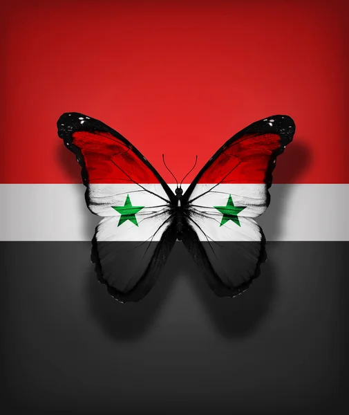 Mariposa de bandera siria, aislada sobre fondo de bandera — Foto de Stock