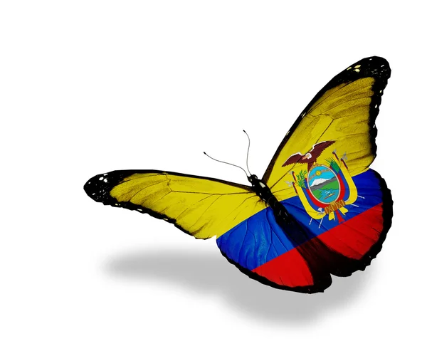 Ecuador flag butterfly flying, isolated on white background — Stock Photo, Image