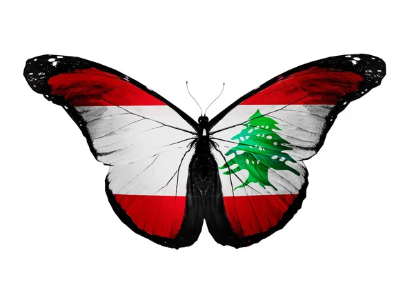 Lebanon flag butterfly, isolated on white background — Stock Photo, Image