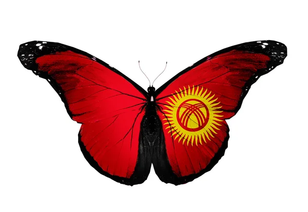 Kyrgyzstan flag butterfly, isolated on white background — Stock Photo, Image