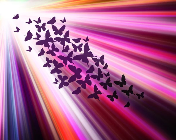 Fond multicolore avec des papillons, comme le soleil abstrait — Photo