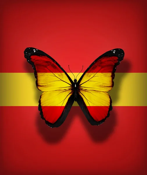 Mariposa de bandera de España, aislada sobre fondo de bandera — Foto de Stock
