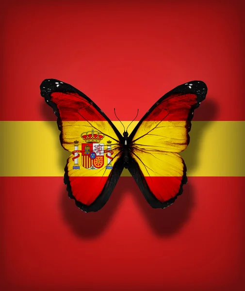 Mariposa de bandera de España, aislada sobre fondo de bandera — Foto de Stock