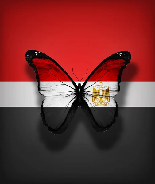 Papillon drapeau Egypte, isolé sur fond de drapeau — Photo