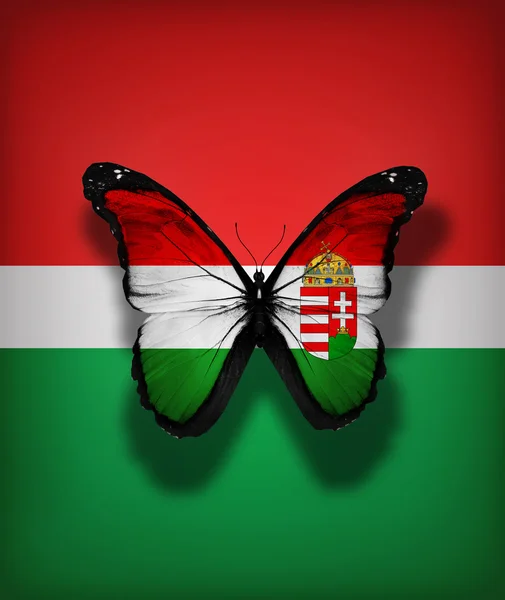 旗の背景に分離されたハンガリー フラグ蝶 — ストック写真