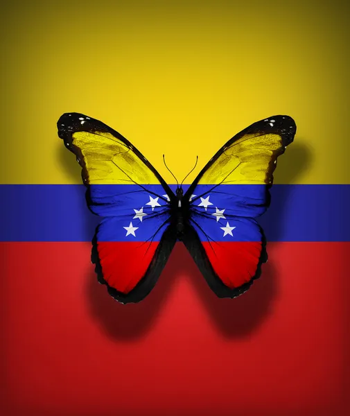 Venezuela Flagge Schmetterling, isoliert auf Flaggenhintergrund — Stockfoto