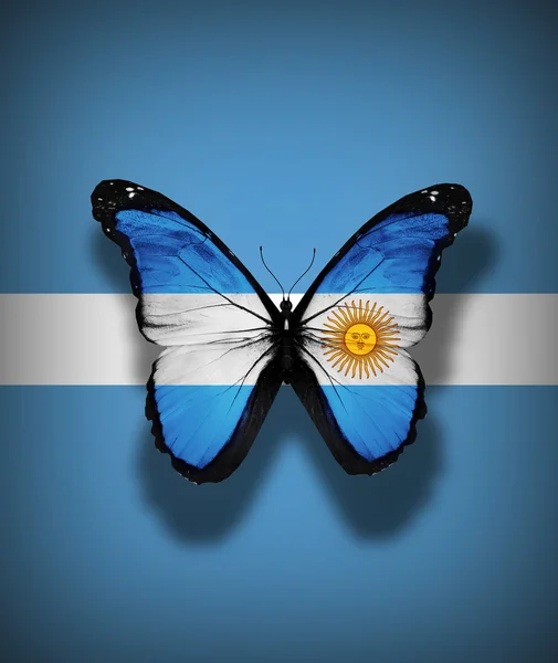 Farfalla bandiera argentina, isolata sullo sfondo della bandiera — Foto Stock