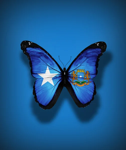 Papillon drapeau de Somalie avec armoiries, isolé sur fond de drapeau — Photo