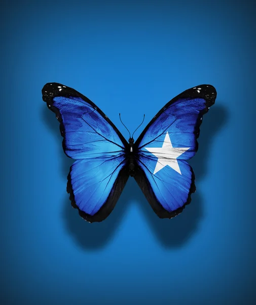 Mariposa bandera de Somalia, aislada sobre el fondo de la bandera — Foto de Stock