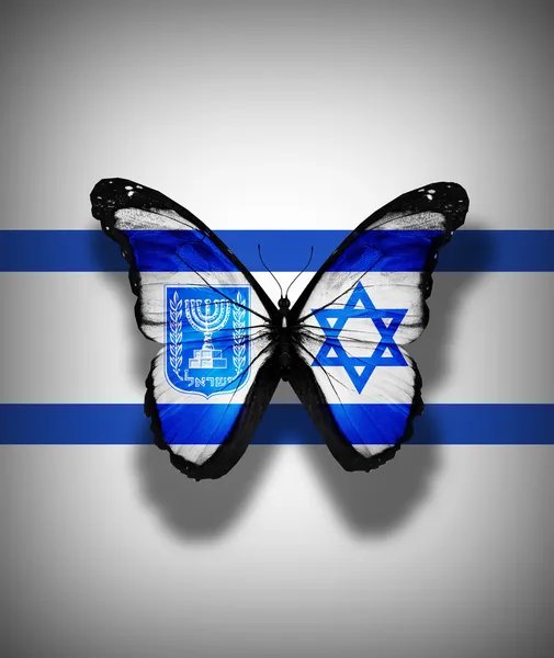 Mariposa de bandera israelí, aislada sobre fondo de bandera — Foto de Stock