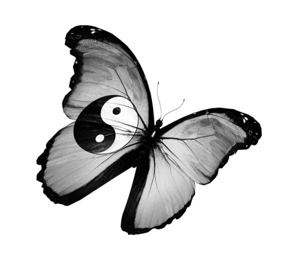 Dao flaga motyl latający na białym tle na białym tle — Zdjęcie stockowe