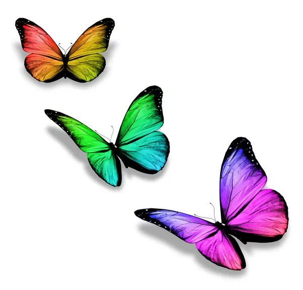 Tres mariposas de color, aisladas en blanco — Foto de Stock