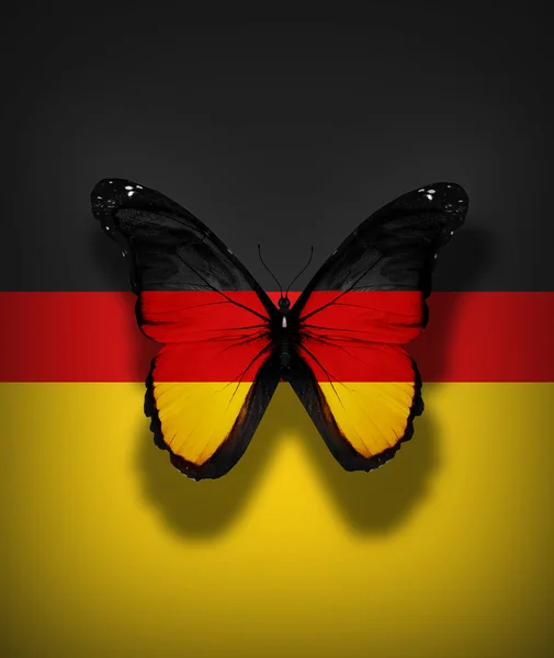 German flag butterfly, isolated on flag background — Stock Photo, Image