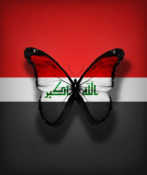 Papillon drapeau Irak, isolé sur fond de drapeau — Photo