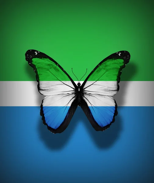 シエラレオネ フラグ蝶、旗の背景に分離 — ストック写真