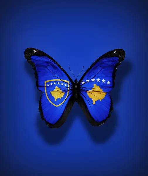 旗の背景に分離の紋章とコソボ フラグ蝶 — ストック写真