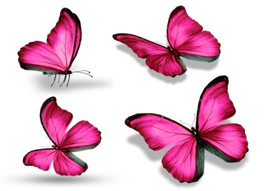Beyaz arka plan üzerinde izole dört pembe kelebek