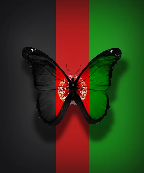 Afghanistan flag butterfly, isolated on flag background — Stock Photo, Image