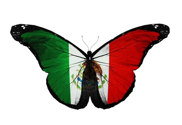 Bandeira mexicana borboleta voando, isolado no fundo branco — Fotografia de Stock