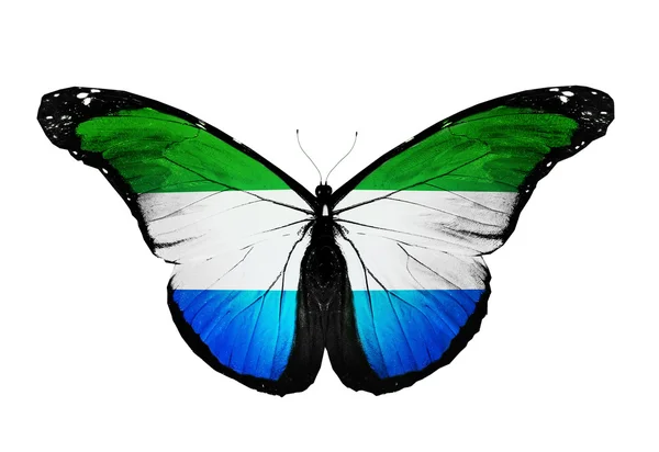Sierra Leone flag butterfly, isolated on white background — Stock Photo, Image