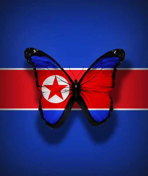 朝鲜国旗蝴蝶，隔离标志背景上 — 图库照片