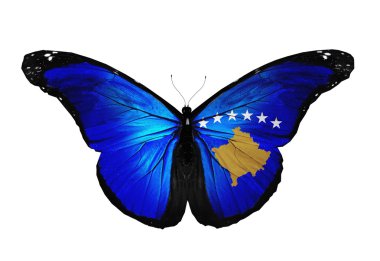 Kosova bayrağı kelebek uçuyor, izole üzerinde beyaz arka plan