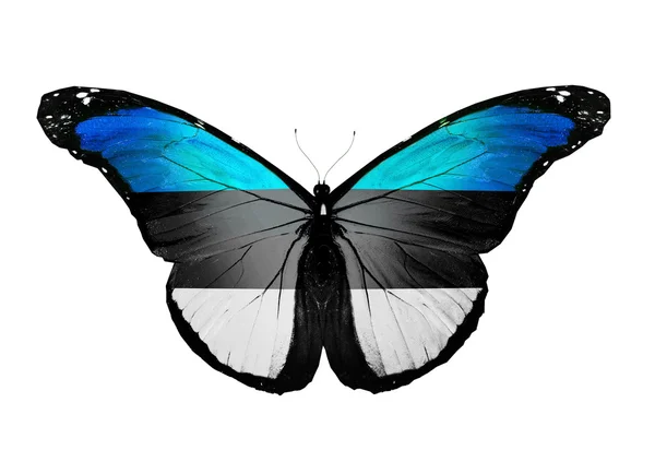 Észt zászló pillangó, elszigetelt fehér background — Stock Fotó