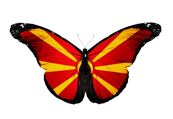 Makedonien flagga fjäril, isolerad på vit bakgrund — Stockfoto