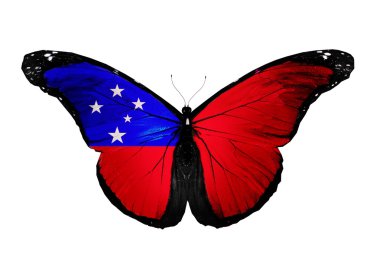 Beyaz arka plan üzerinde izole samoa bayrak kelebek