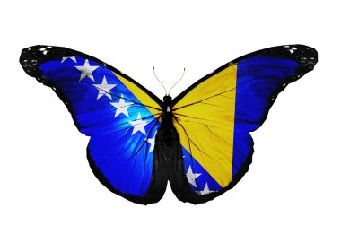 Uçuş, beyaz zemin üzerine izole Bosna-Hersek bayrağı kelebek