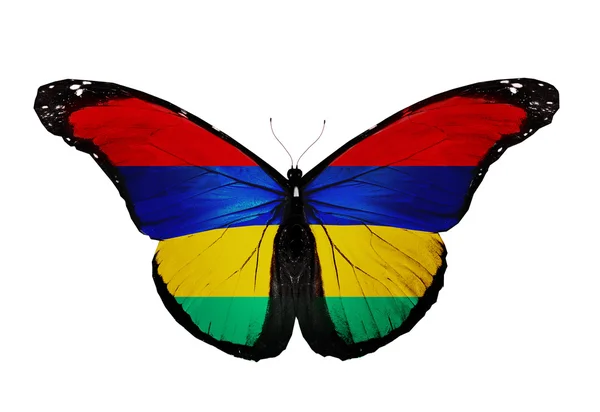 Mauritius vlag vlinder, geïsoleerd op witte achtergrond — Stockfoto