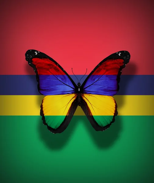 モーリシャス フラグ蝶、旗の背景に分離 — ストック写真