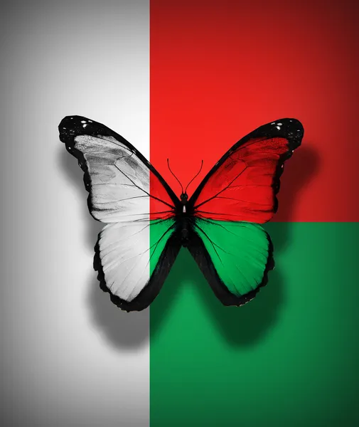 Бабочка с флагом Мадагаскара, изолированная на фоне флага — стоковое фото