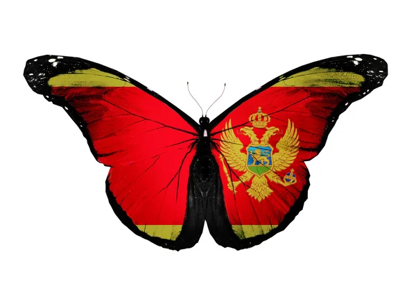 Černá Hora vlajky motýl, izolovaných na bílém pozadí — Stock fotografie
