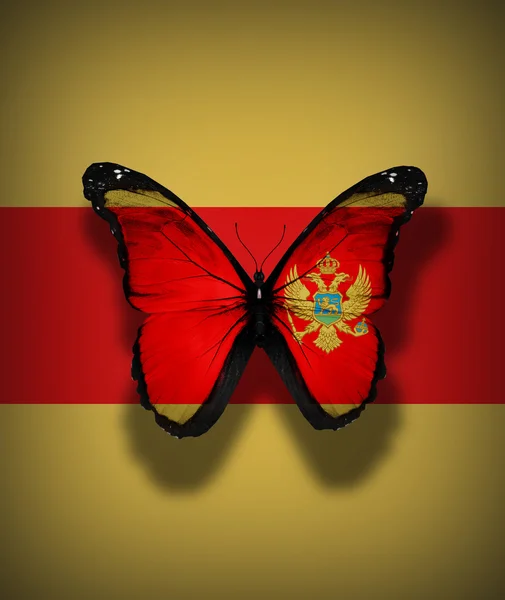 Montenegro borboleta bandeira, isolado no fundo da bandeira — Fotografia de Stock