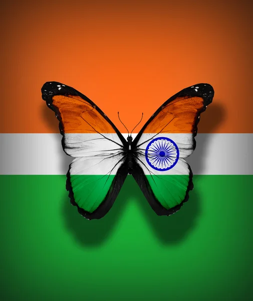 Indiska flaggan fjäril, isolerade på flagga bakgrund — Stockfoto