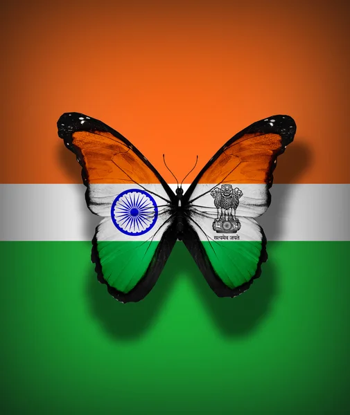 Indian flag butterfly, isolated on flag background — Stock Photo, Image