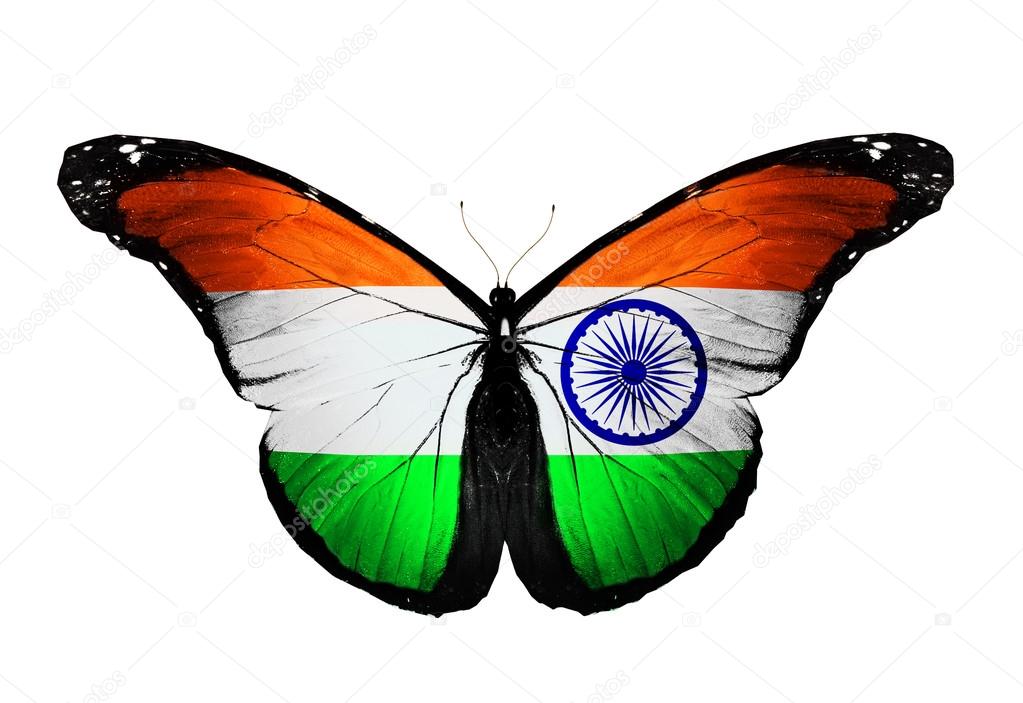 Indian Flag Background Photos Download Free Indian Flag Background Stock Photos HD Images
