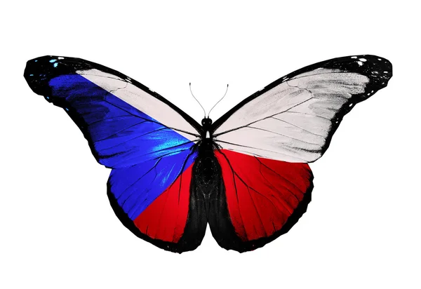 Papillon drapeau République tchèque, isolé sur fond blanc — Photo