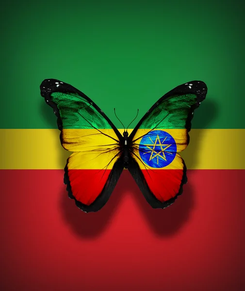 Ethiopian flag butterfly, isolated on flag background — Stock Photo, Image