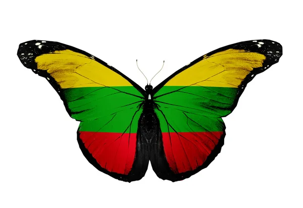 Litauische Flagge Schmetterling, isoliert auf weißem Hintergrund — Stockfoto